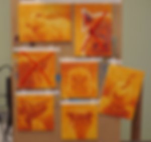 image not found